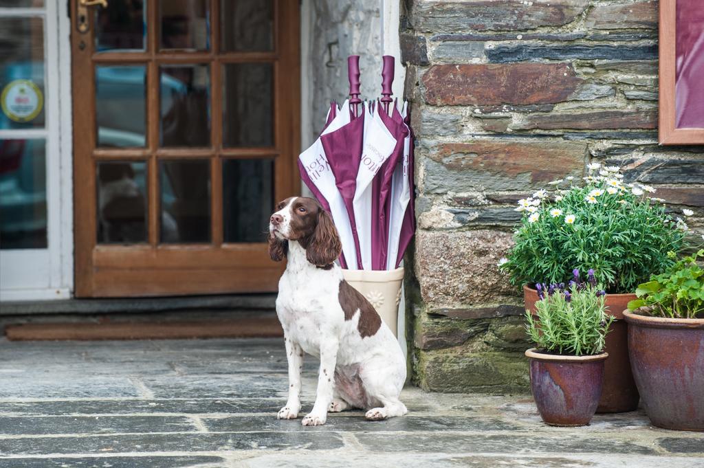 The Wellington Hotel Boscastle Exterior photo